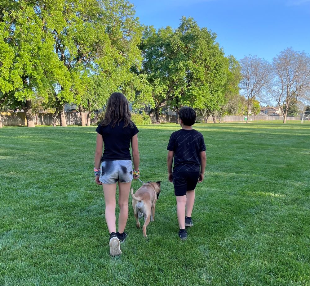 2025 Big DOG Story 3 Photo